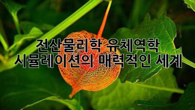 전산물리학: 유체역학 시뮬레이션의 매력적인 세계